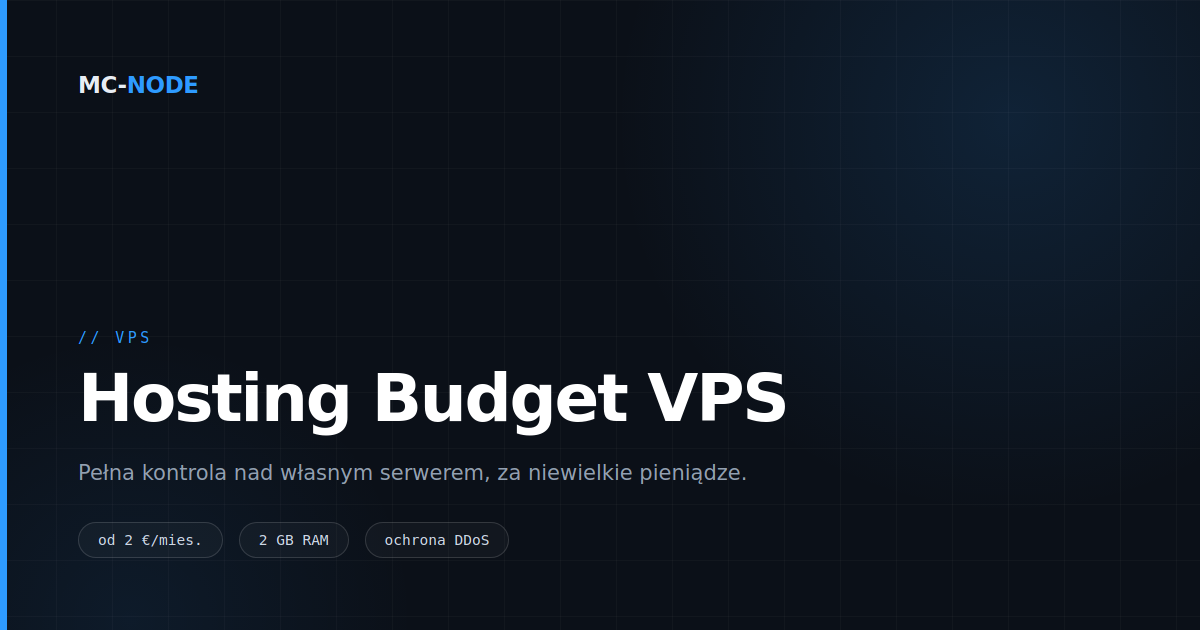 Czym jest VPS i kiedy go potrzebujesz?