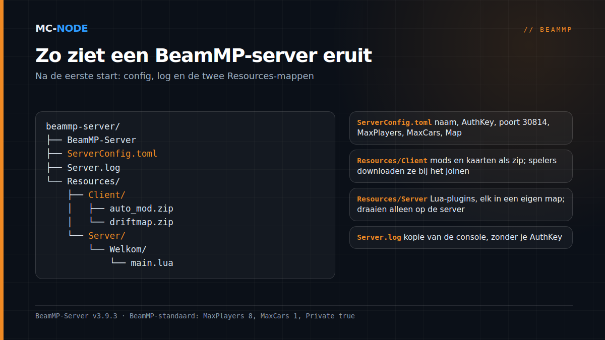 Mappenstructuur van een BeamMP-server: BeamMP-Server, ServerConfig.toml, Server.log en de map Resources met Client voor mods en Server voor Lua-plugins