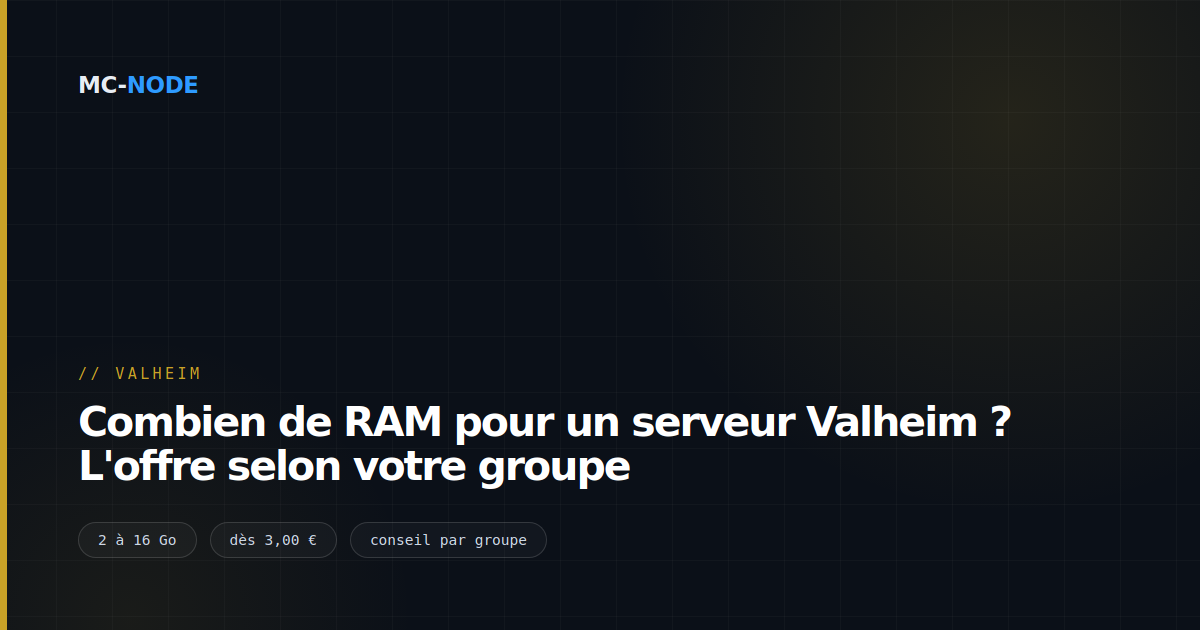 Combien de RAM pour un serveur Valheim ? L'offre selon votre groupe
