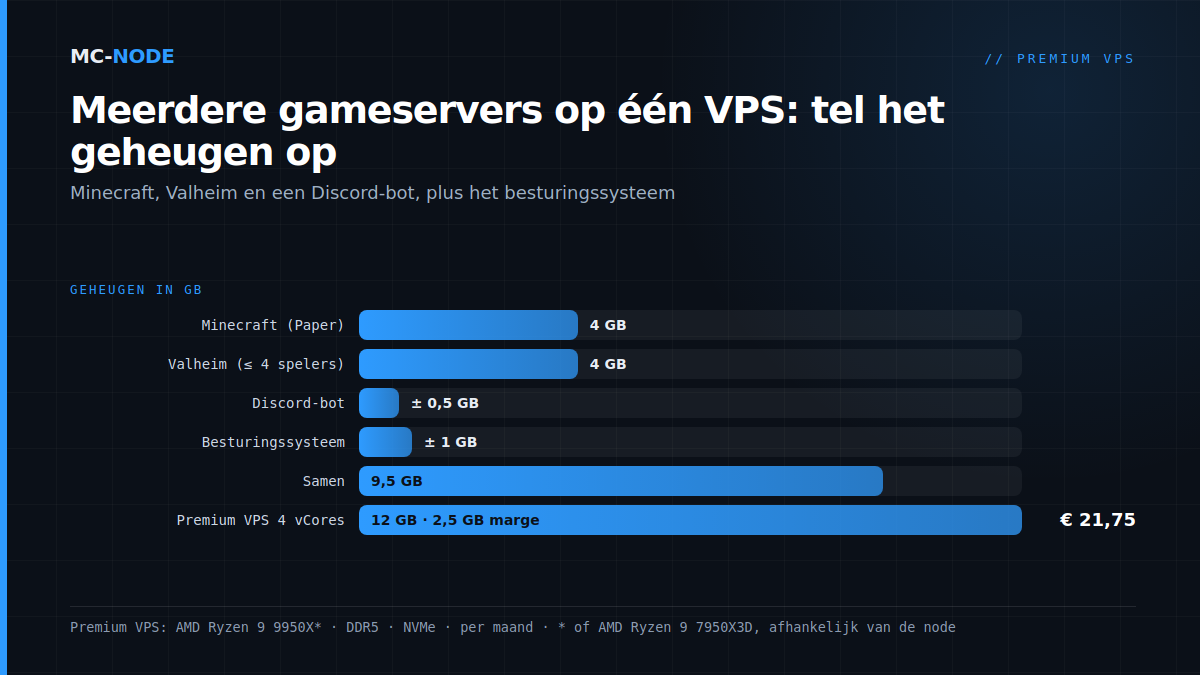 Meerdere gameservers op één VPS optellen: Minecraft 4 GB, Valheim 4 GB, Discord-bot 0,5 GB en OS 1 GB is 9,5 GB, past in Premium VPS 12 GB