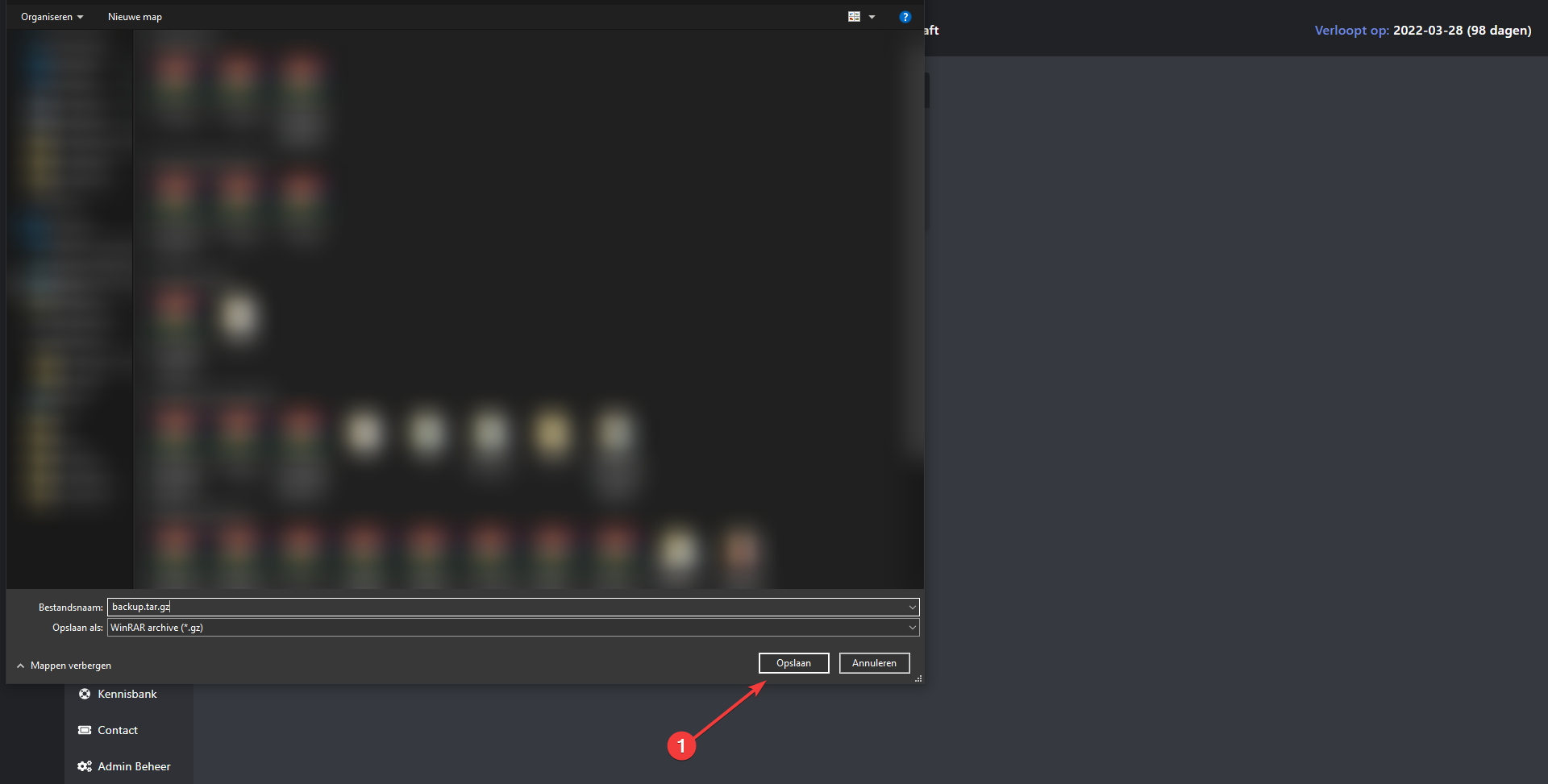 ¿Cómo descargo mi backup?