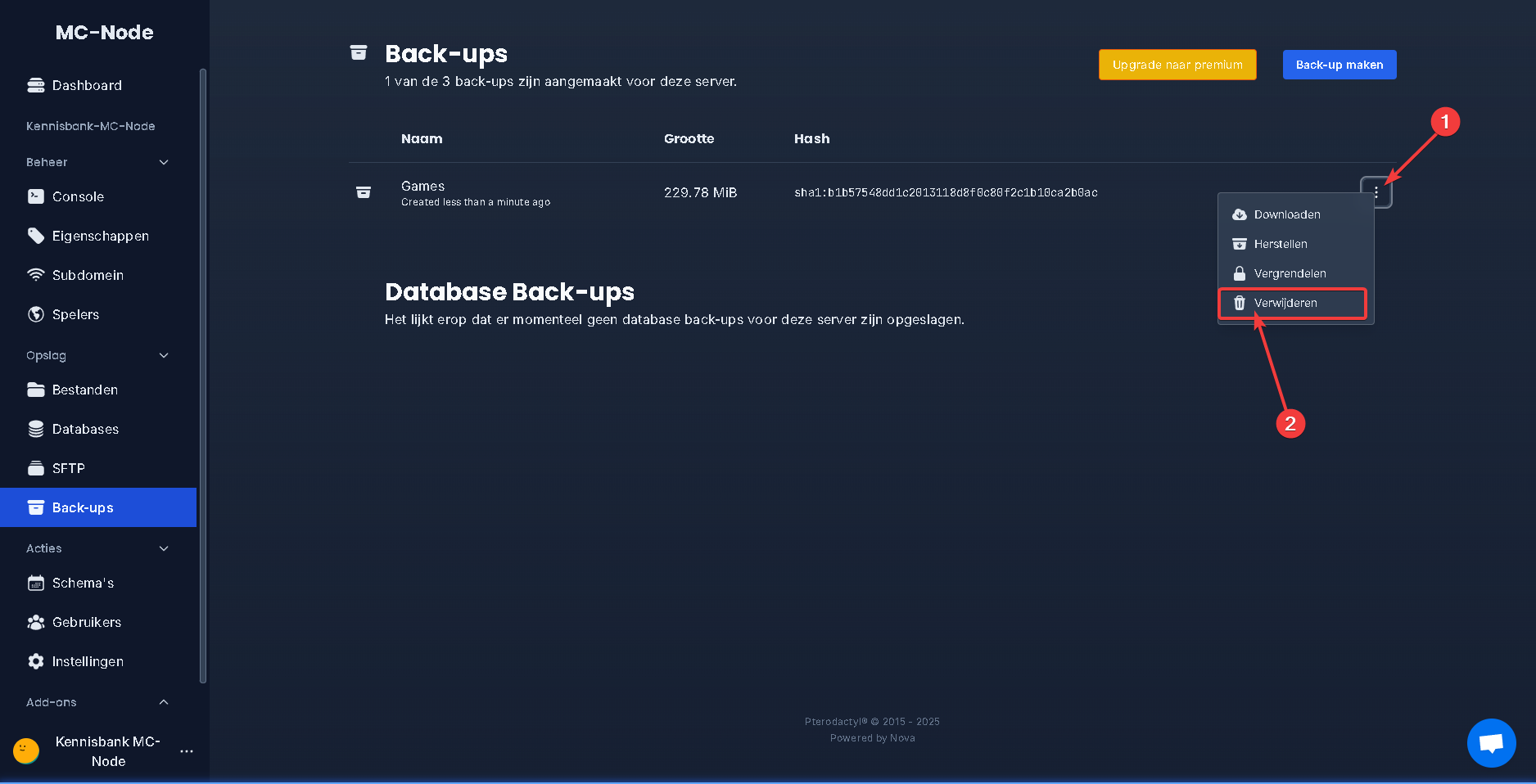 ¿Cómo elimino un backup?