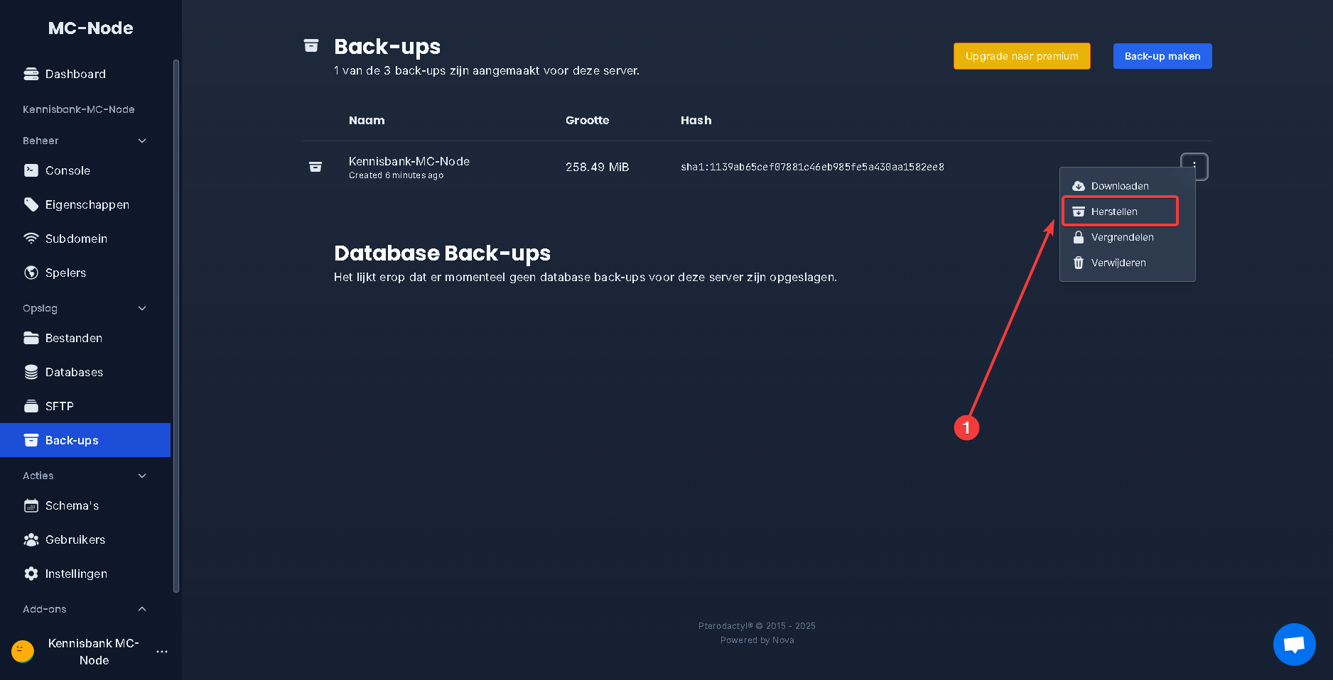 ¿Cómo restauro un backup?