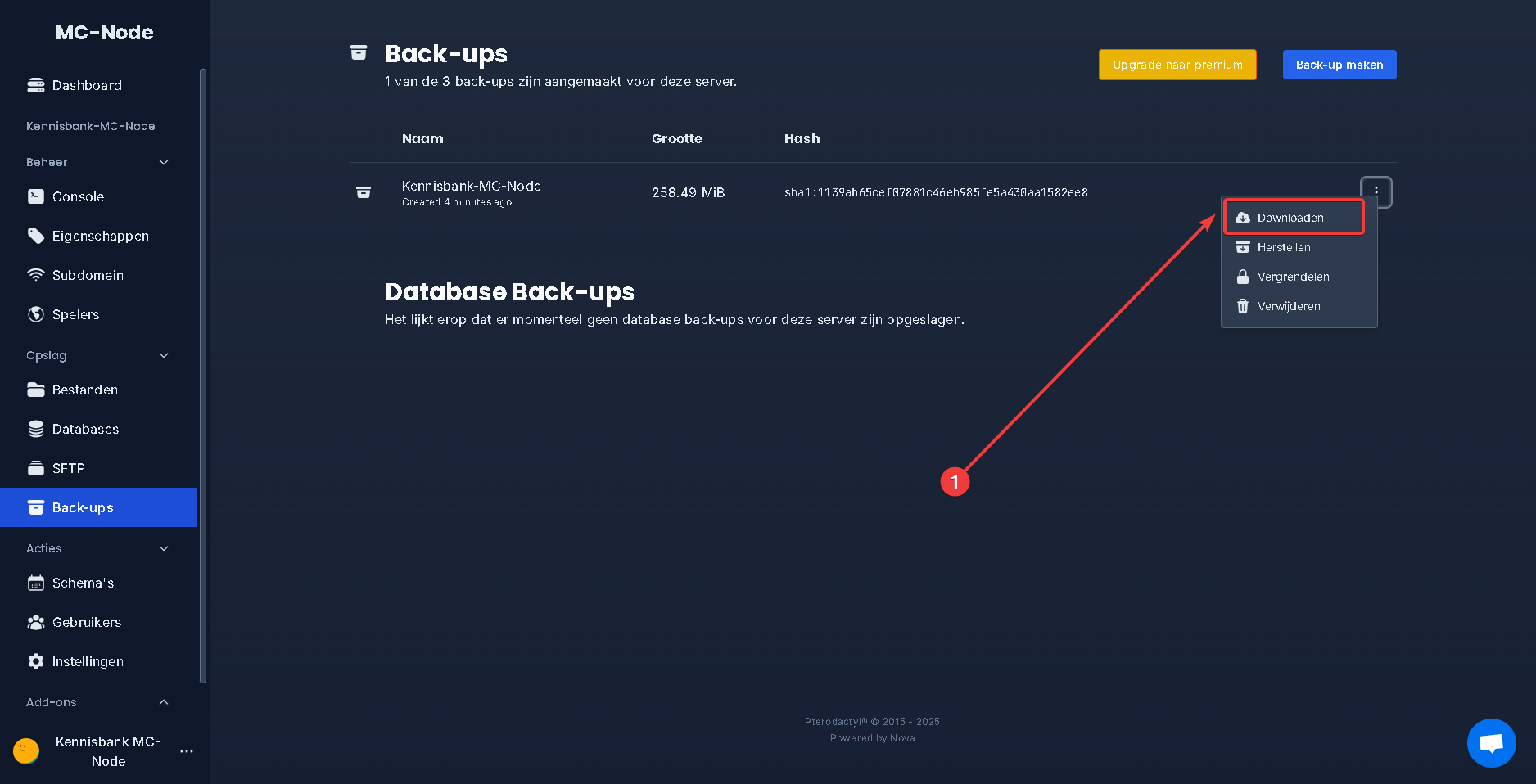 ¿Cómo descargo mi backup?
